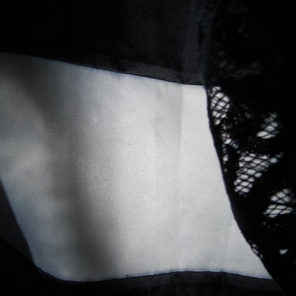 REVIEW - Stunning - lace overlay dress - size 12 - excellent condition - Picture 5 of 5